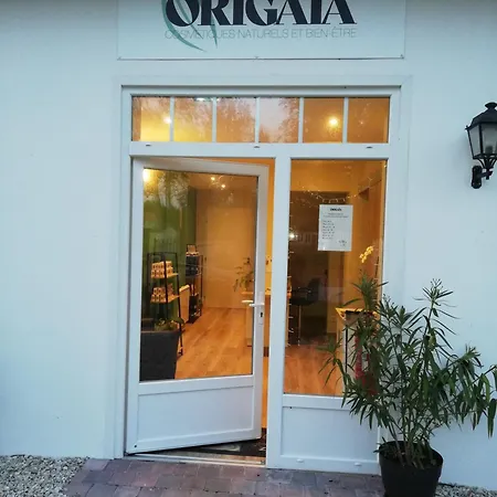 A L'ombre Du Ginkgo *