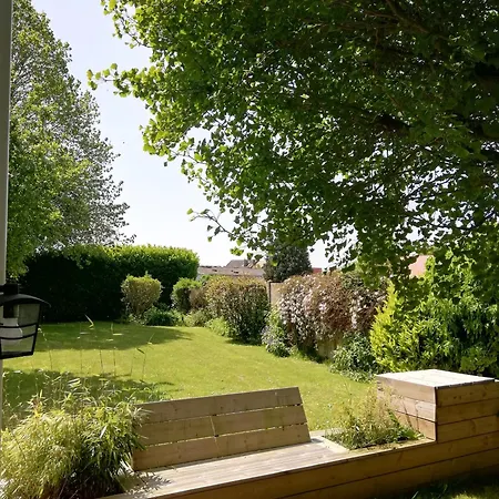 A L'ombre Du Ginkgo *